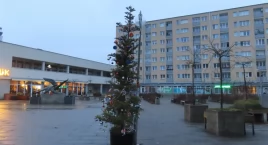 Krzywe do krzywego