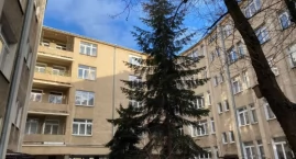 Nowy pomnik przyrody na Ochocie