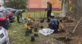 Rusza akcja „Sadzimy z Ochotą” 