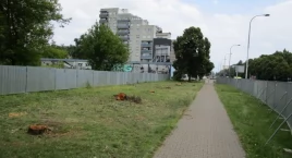 Tramwaj na Wolę - wycięto sporo drzew, ale to jeszcze nie koniec