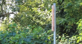 Z Fortów Szczęśliwickich kamerę 