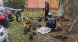 Sadzimy z Ochotą - mieszkańcy sadzą rośliny wokół swoich budynków