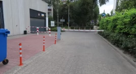 Zieleniak i jego postępy i wpadki