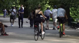 Sonda - czy popierasz jazdę rowerem na terenie parków?