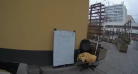 Plac Pod Skrzydłami tętni jesiennym życiem 