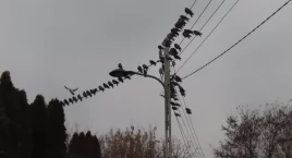 Reduta Ordona - spokojnie jak przed burzą