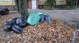 Porażka nie tylko w temacie liście
