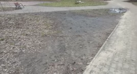 Trawnikowy ambaras - są proste rozwiązania?
