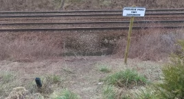 Na sankach przez granicę?