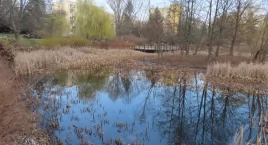 Stawik nabiera kształtów