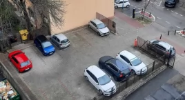 Urzędnicy żądają zdecydowanej walki z blachosmorodami