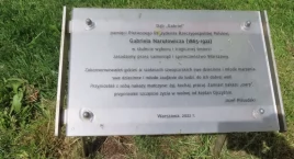 Dąb 
