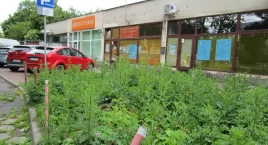 Punkty wsparcia, poradnie, i opieka społeczna na Ochocie w odwrocie