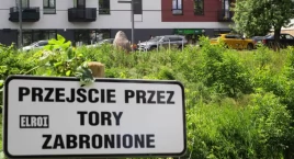 „Zielona Granica” ma się dobrze