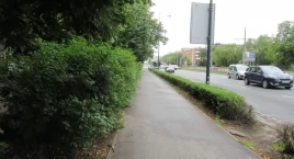 Rowerzyści kochają przyrodę a przyroda ich
