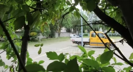 VIP Parking