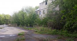 Fabryka Warsowin - domy czy park?