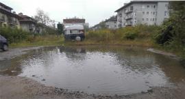 Jezioro Łabędzie na Drawskiej