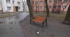 Podziękowania dla dyrektora ZGN Ochota.
