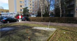 Walentego Skorochód Majewskiego zapraszamy dewelopera