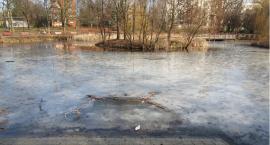 Park Zasława Malickiego przed wiosną