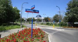 Dwa różne ronda