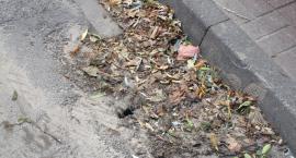 Betonoza czy psychoza?