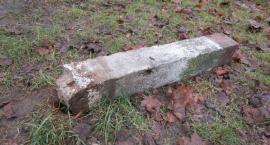 Park Szczęśliwicki i jego drobne tajemnice
