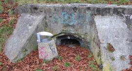 Park Forty Korotyńskiego jako chroniony obiekt? 