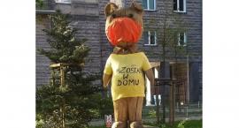 Misiek z placu Baśniowego apeluje o pozostanie w domu