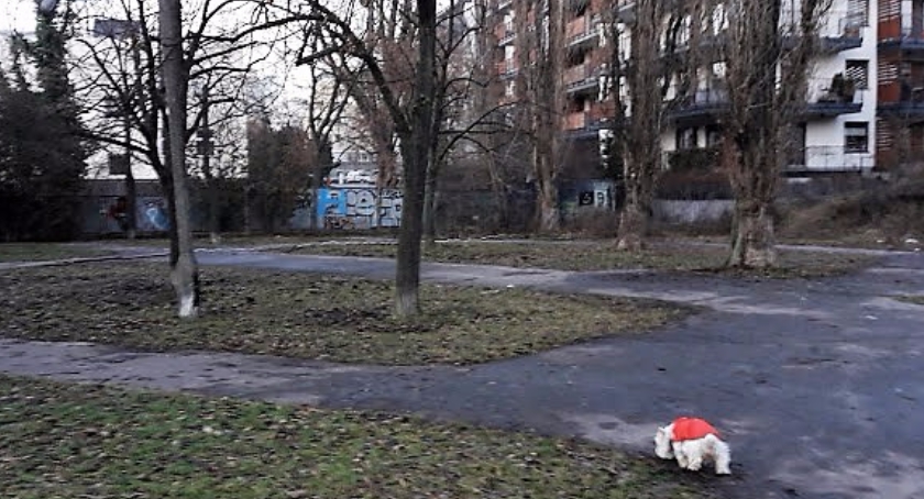 Budżet Partycypacyjny na rok 2018 dla Różanej 20: ogród dla wszystkich?