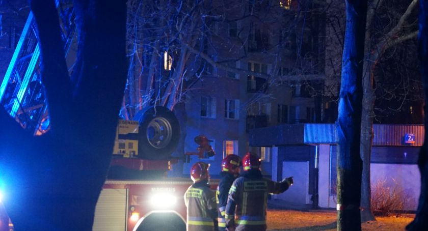Niebezpieczna akcja? Przyjechały dwa zastępy straży pożarnej