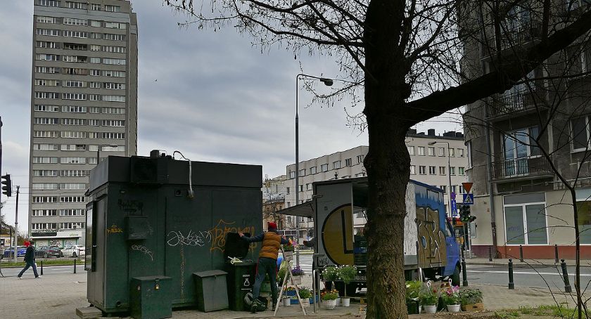 Ładne kwiatki z Mokotowa