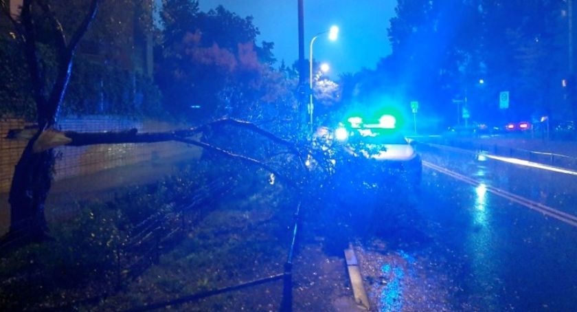 Nocny wiatr stworzył niebezpieczeństwo na Stegnach [ZDJĘCIA]