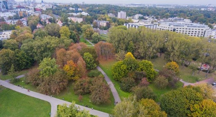 Policzono duże drzewa na Mokotowie! 