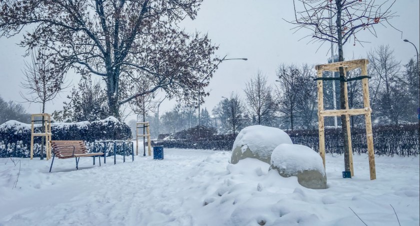 Mokotowski park kieszonkowy