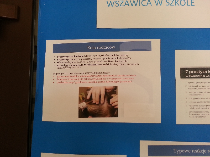 Wszawa sytuacja