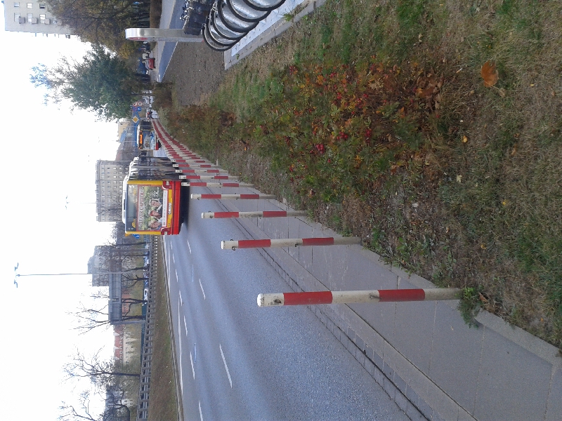 Zapalikowane umysły