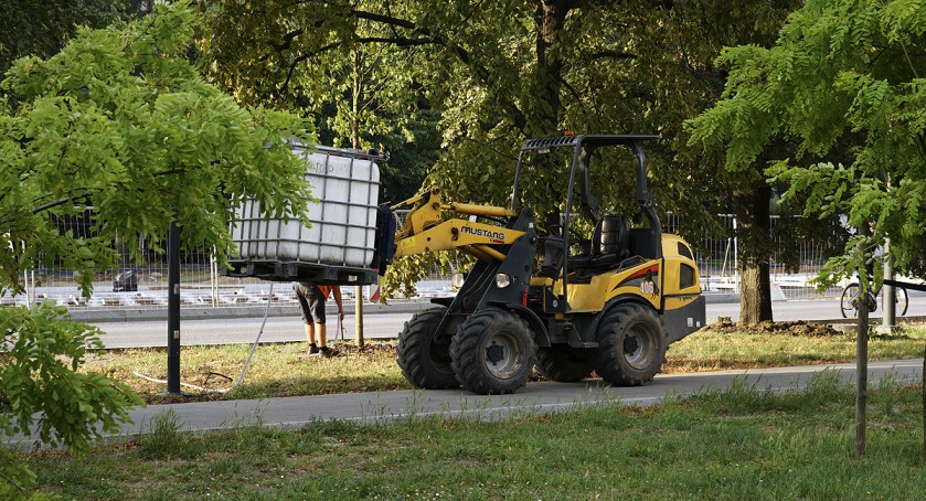 Podlewanie drzew i trawników