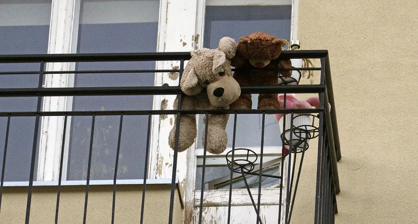 Ciężkie życie pluszaków na Mokotowie