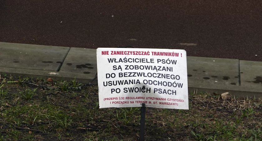 Psy na Mokotowie