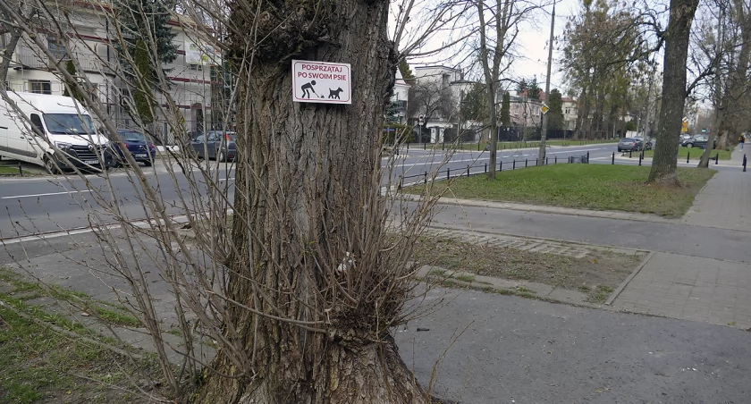 Posprzątaj po swoim psie na Mokotowie
