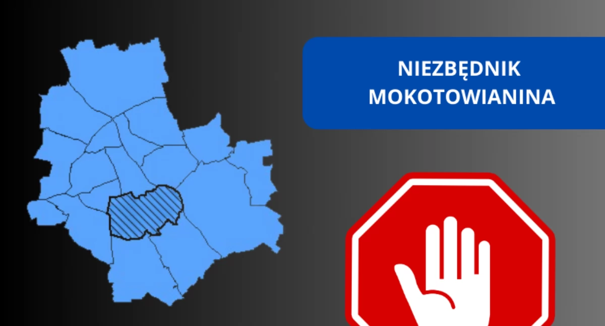 Mieszkacie na Mokotowie? To musicie wiedzieć!