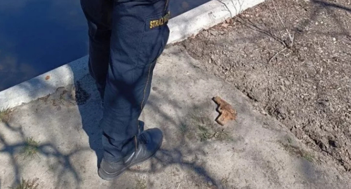 Tajemnicze znalezisko na Mokotowie