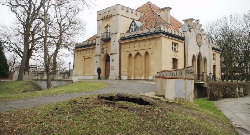 Koło Pałacyku Szustra wycinają stare drzewa – zaalarmowała nasza Czytelniczka. Prawda to?