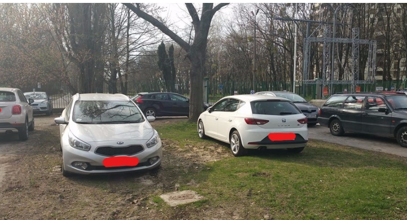 Dwa absurdy Alei Wyścigowej: przejście do trawnika i trawnik jako parking