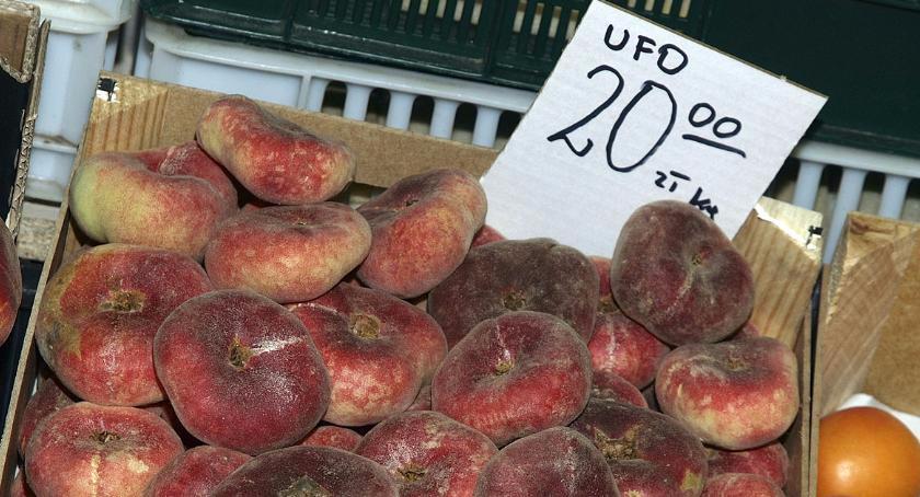 UFO na Zieleniaku