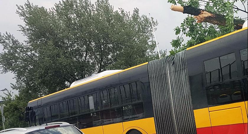 Na Czerniakowskiej – między Chełmską i Witosa – spadło drzewo na przejeżdżający autobus