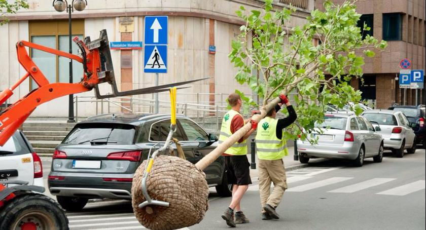 Mokotów za Puszczą Białowieską, przeciw wycince drzew – z drzewem na ramionach