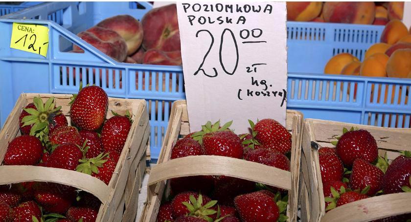 Przegląd cen na Zieleniaku 7 sierpnia 2017